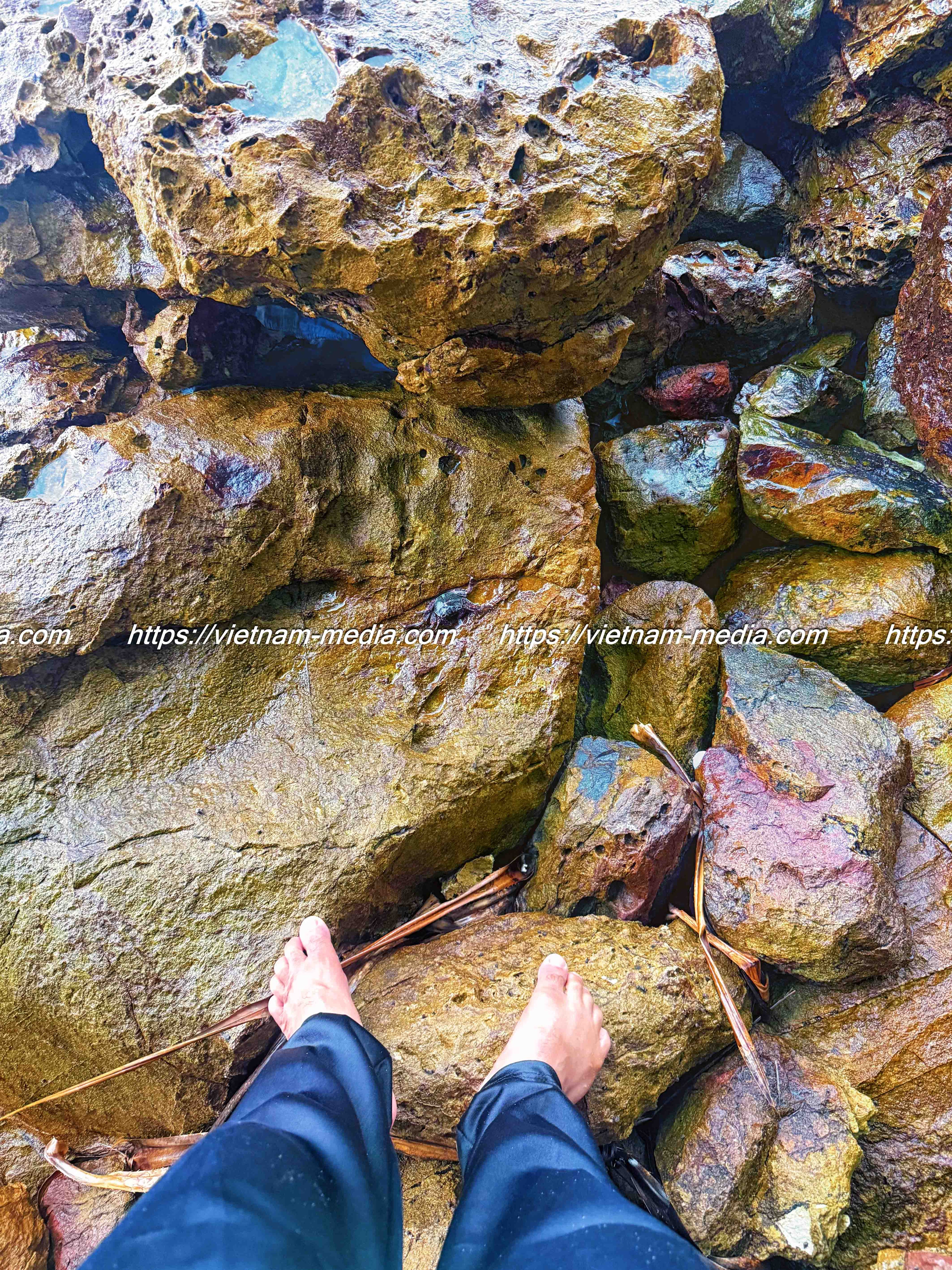 DẤU CHÂN TRÊN ĐÁ