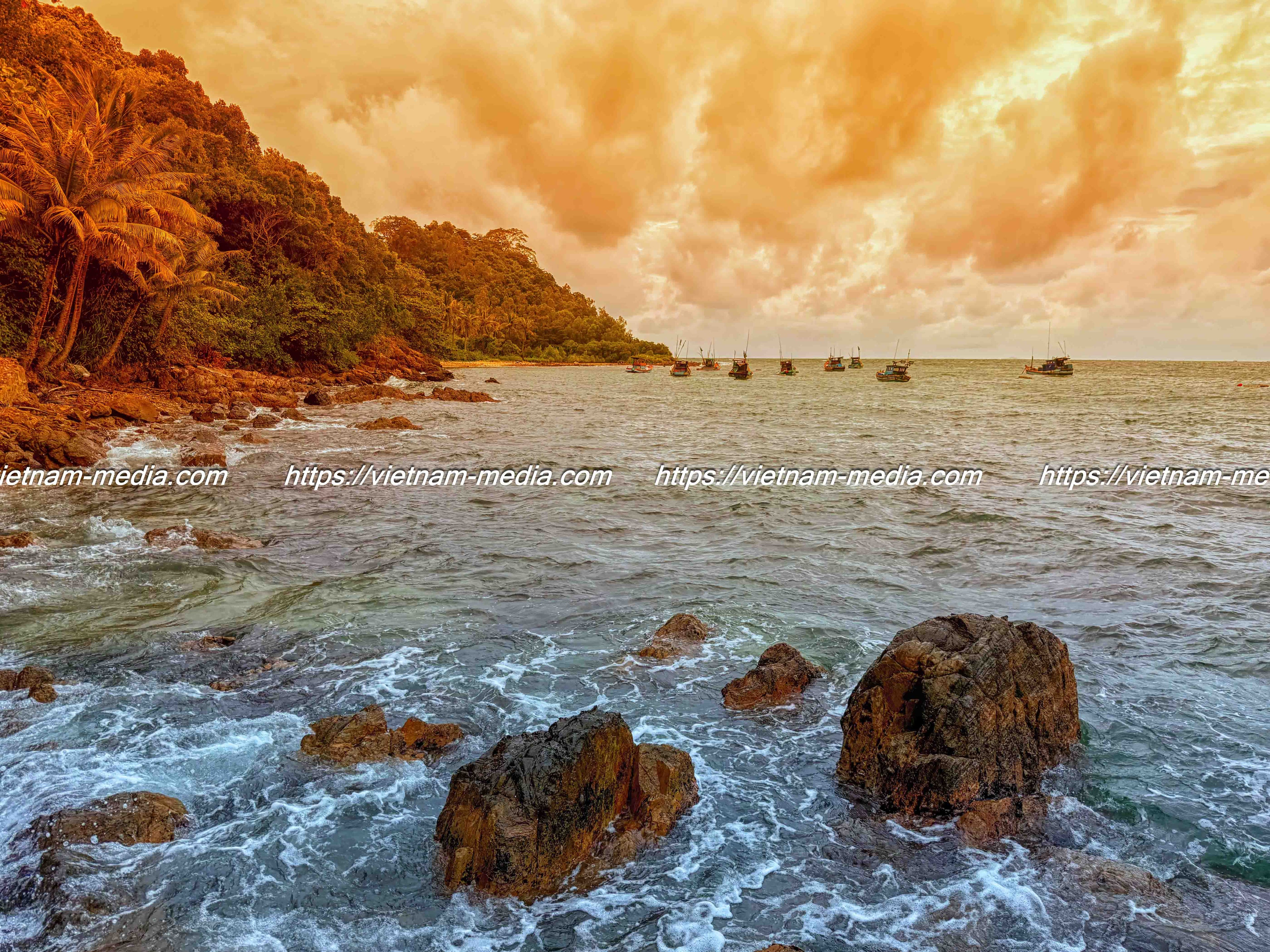 HƠI THỞ ĐẠI DƯƠNG