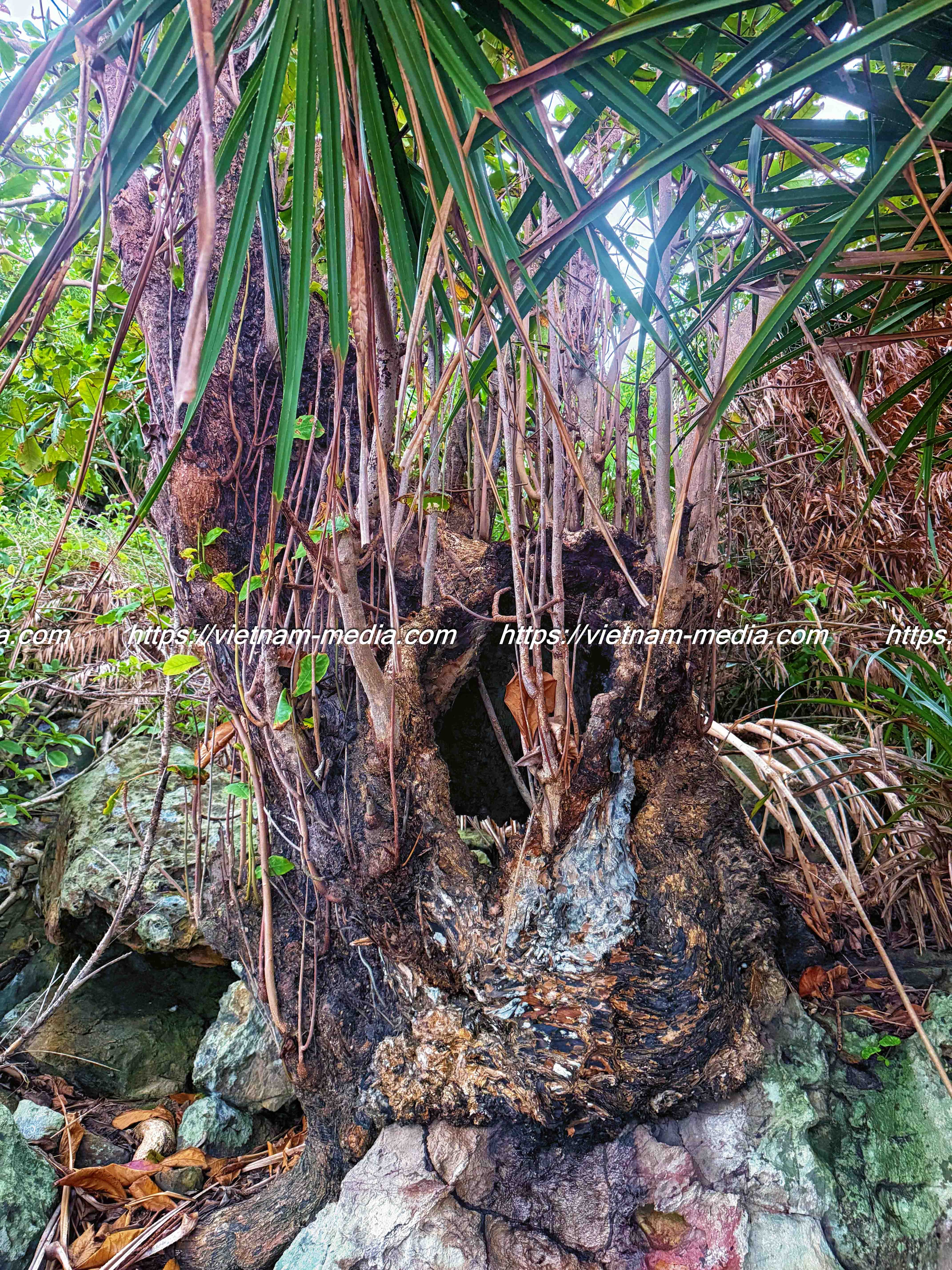 LỖ HỔNG THỜI GIAN