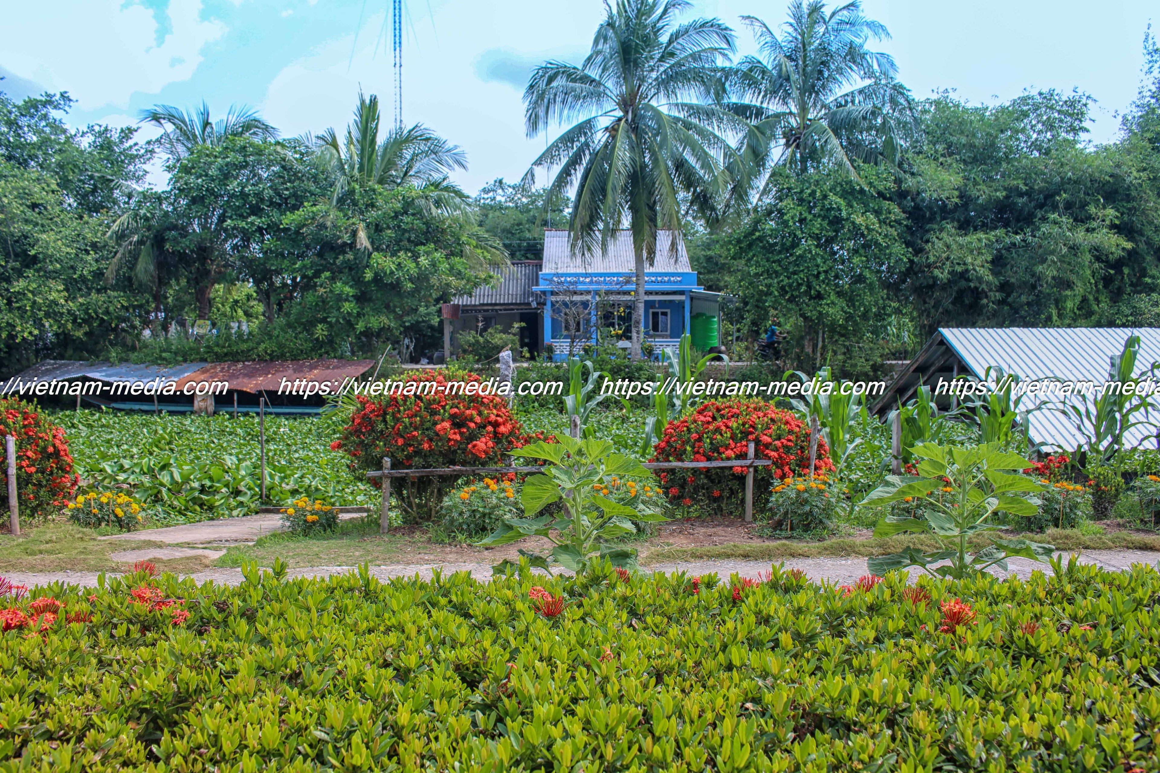 LỐI VỀ XANH MƯỚT
