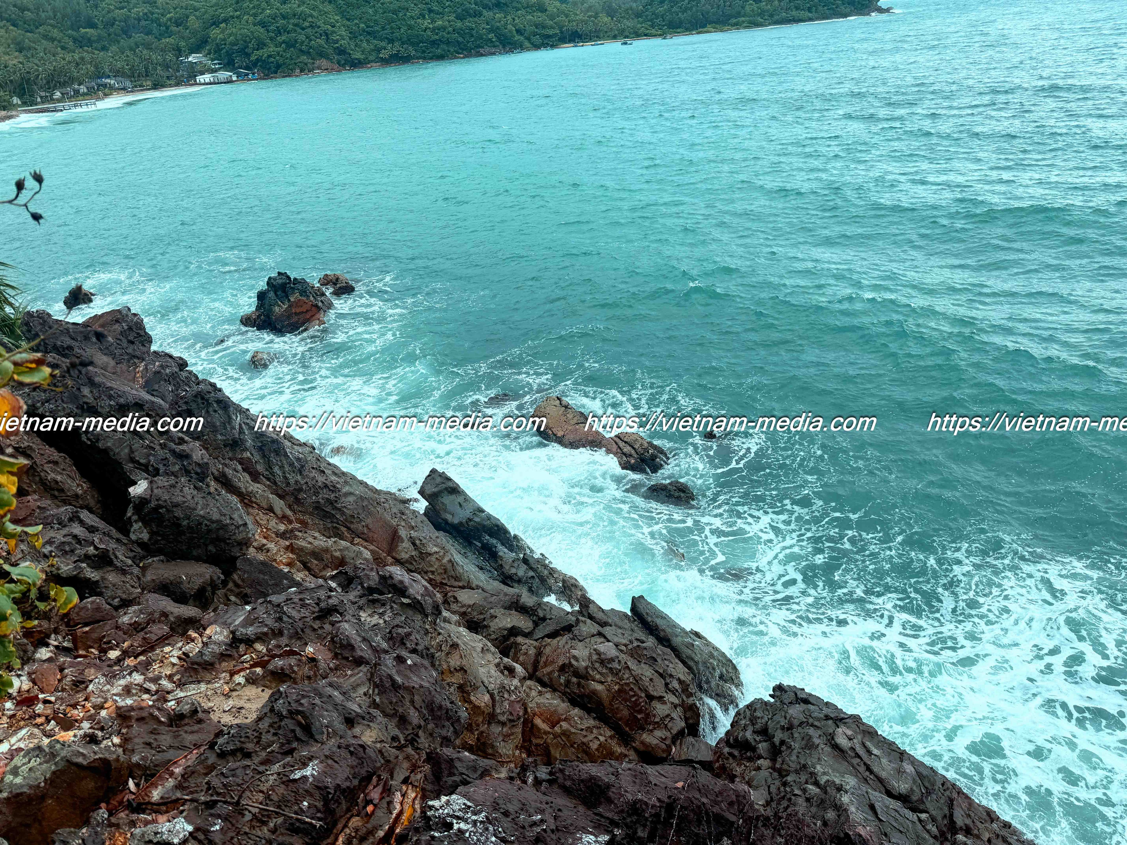 MÀU CỦA BIỂN CA