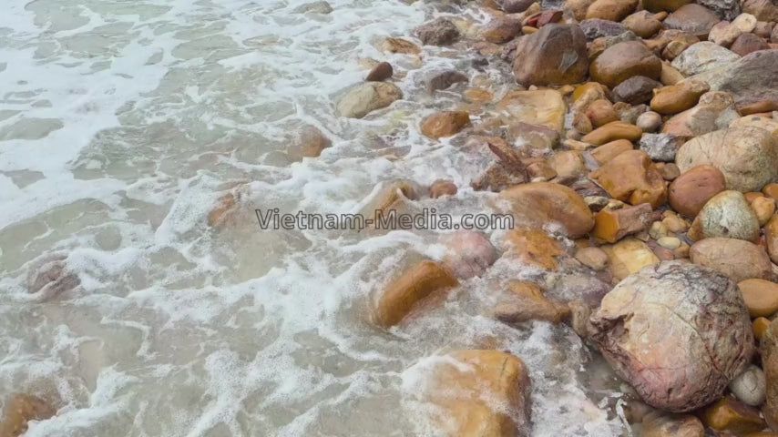 [3 VIDEOS] BÃI SỎI