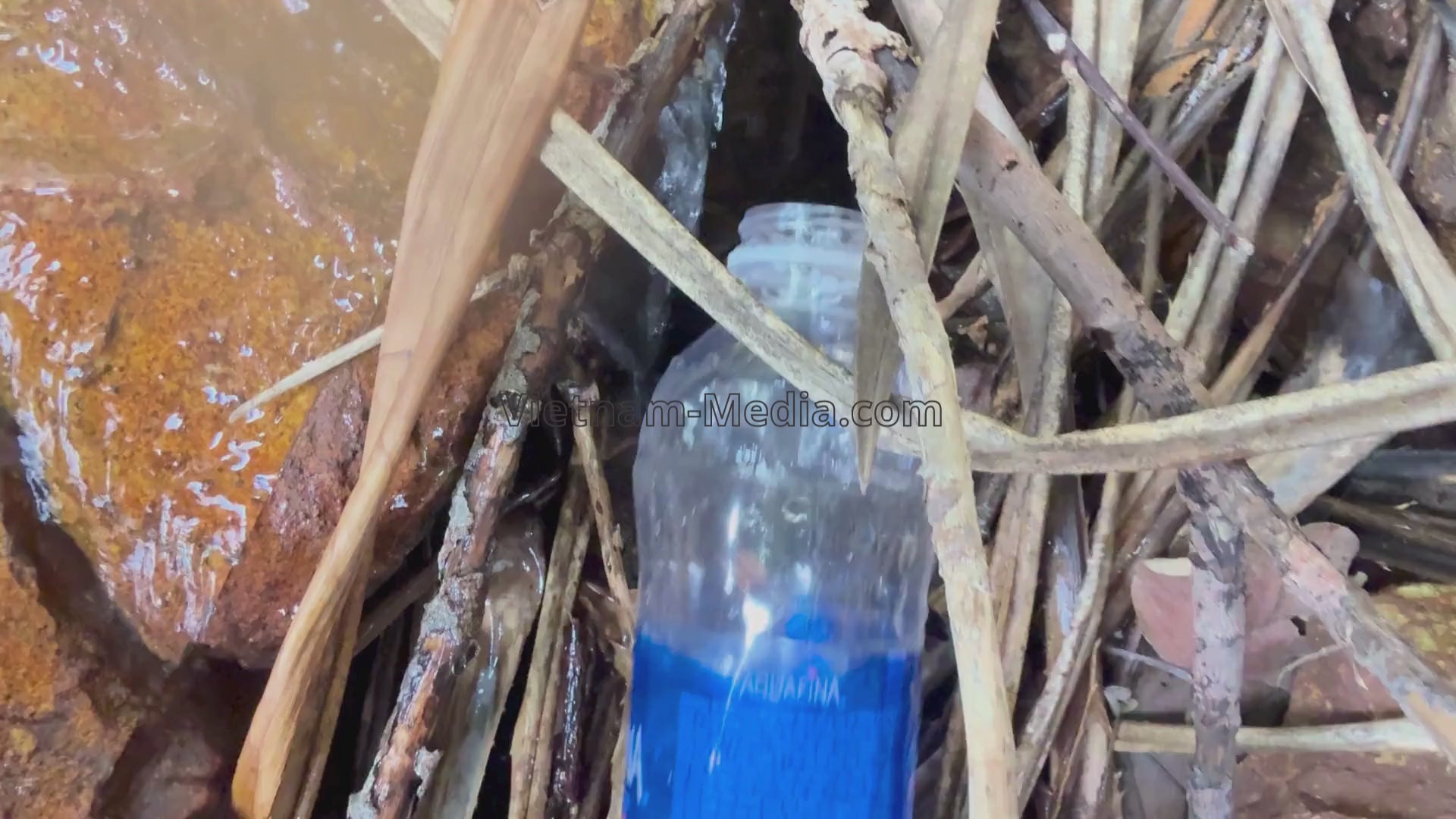 [2 VIDEOS] NƯỚC SUỐI