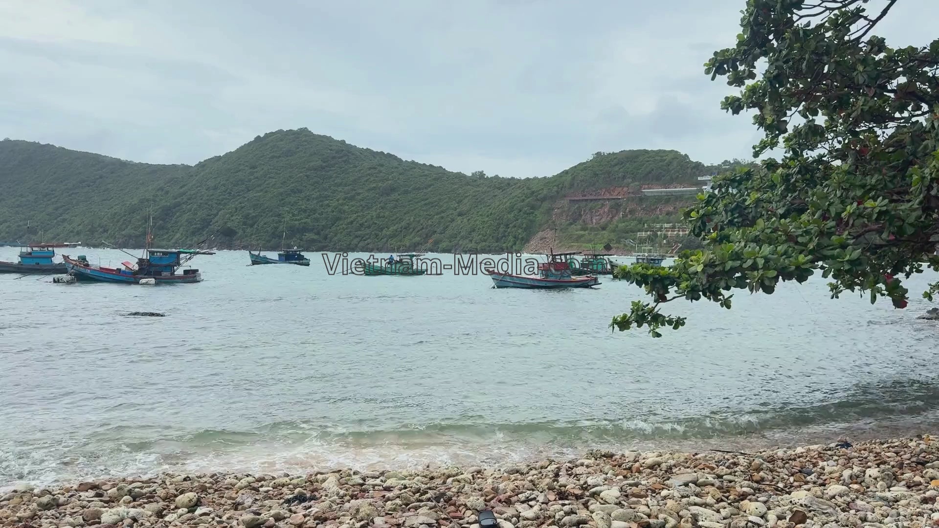 [VIDEO] NEO ĐẬU