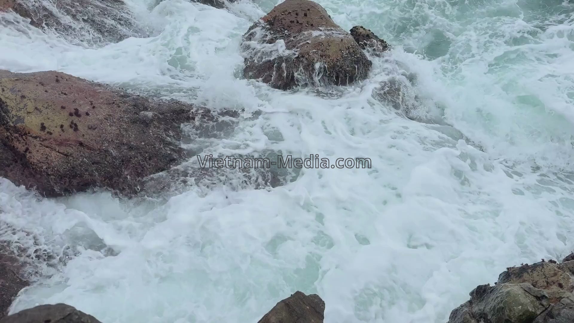 [VIDEO] BỜ ĐÁ VÀ NHỮNG DẤU CHÂN